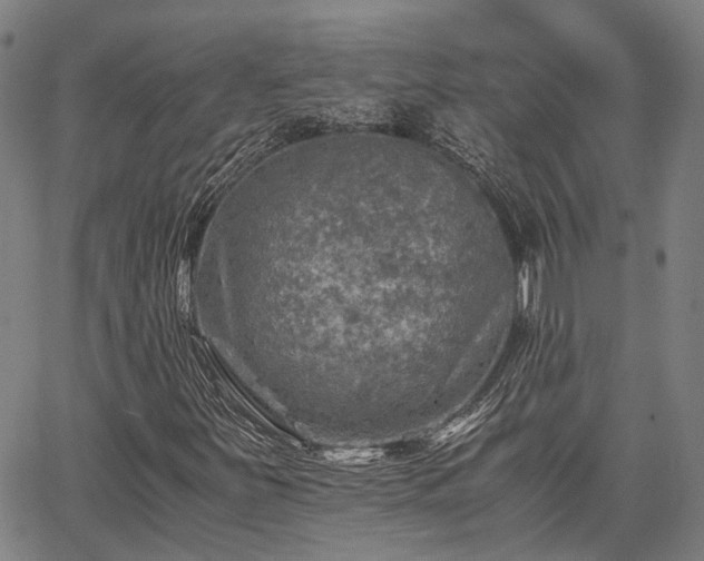 X0000063441251200601271505