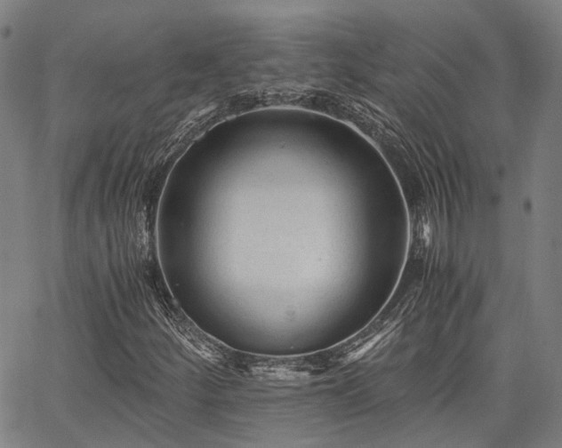 X0000063441252200601271505