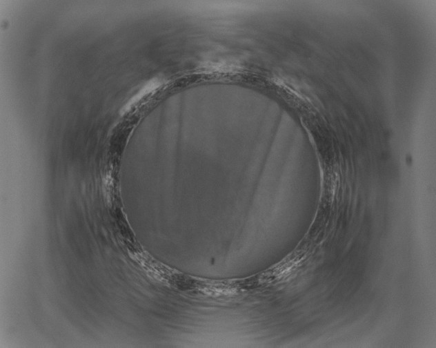 X0000063441254200601271505