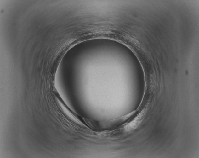 X0000063441257200601271505