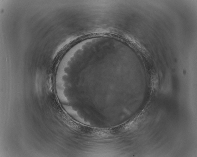 X0000063441262200601271505