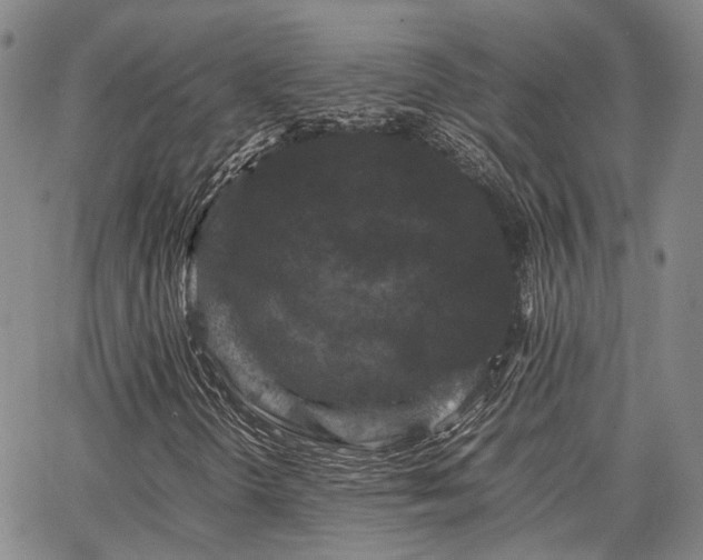 X0000063441298200601271504