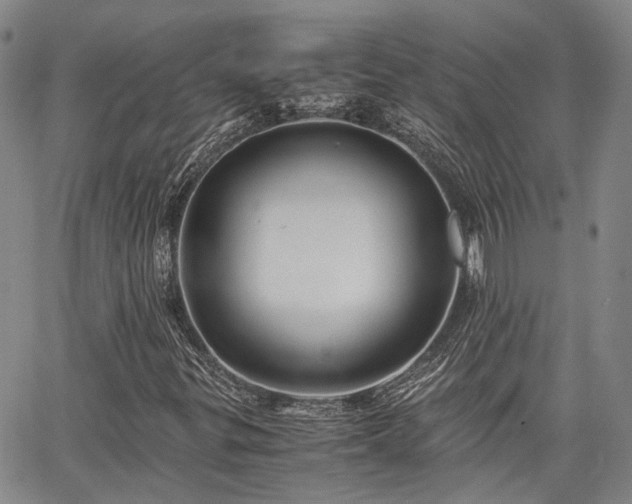 X0000063441299200601271504