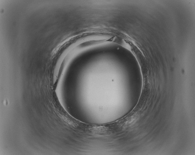X0000063441304200601271504