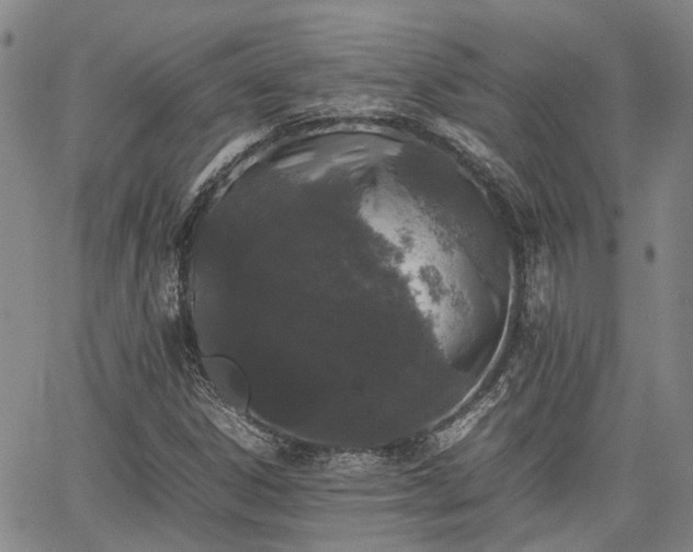 X0000063441306200601271504