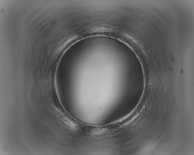 X0000063441313200601271504