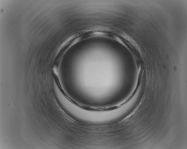 X0000063441321200601271504