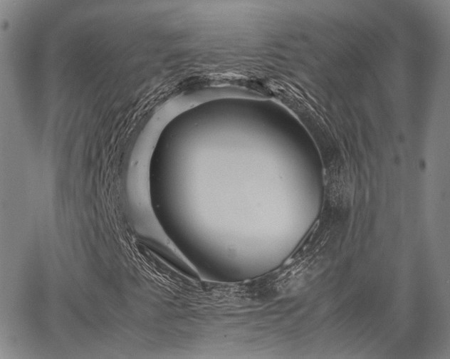 X0000063441345200601271504