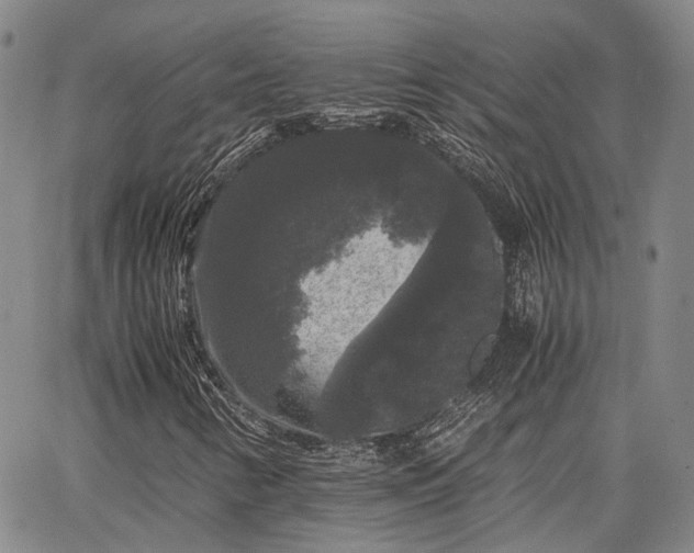 X0000063441346200601271504