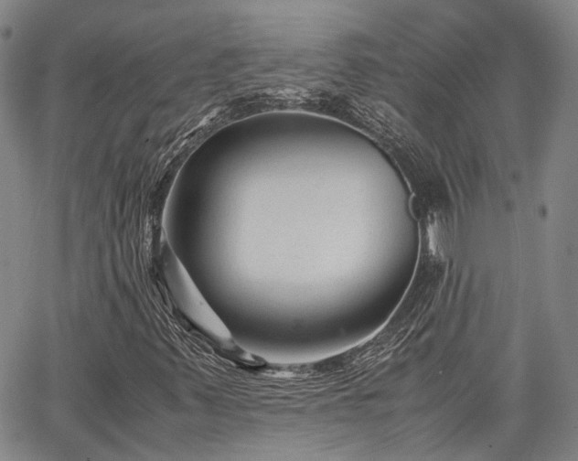X0000063441347200601271504