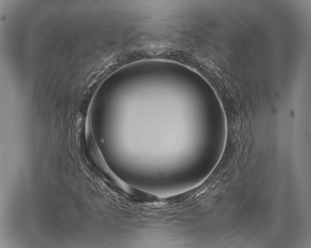 X0000063441349200601271504