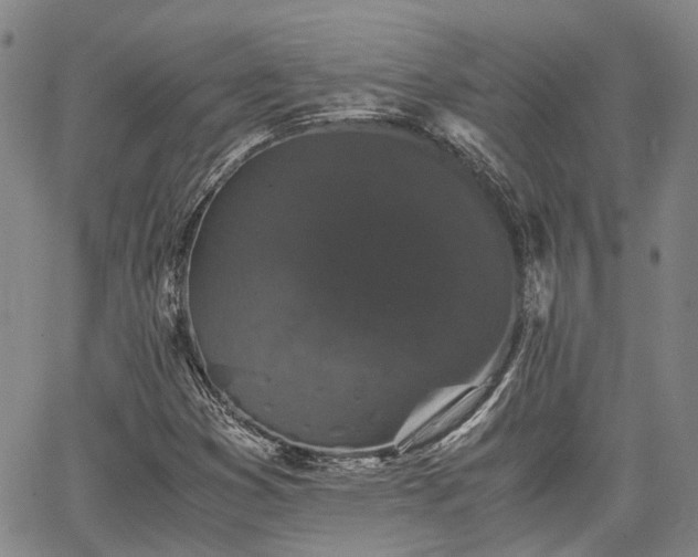 X0000063441353200601271503