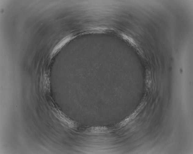 X0000063441354200601271503