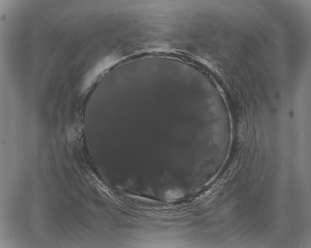 X0000063441359200601271503