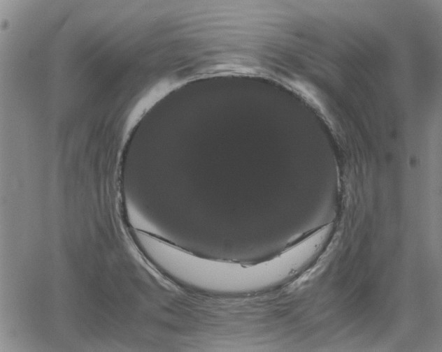 X0000063441373200601271503