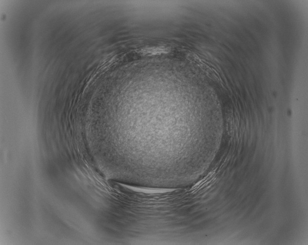 X0000063441393200601271502