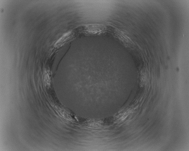 X0000063441394200601271502