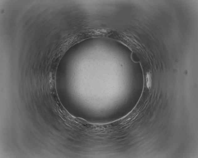 X0000063441395200601271502
