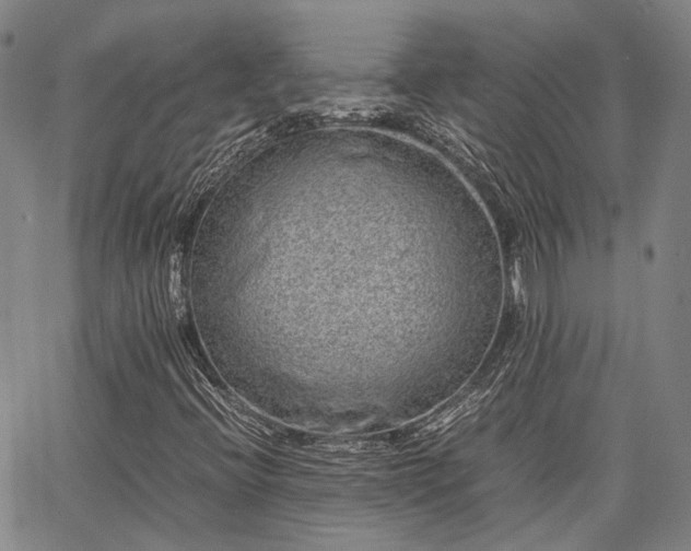 X0000063441396200601271502