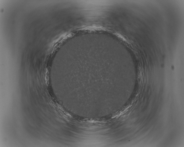 X0000063441398200601271502