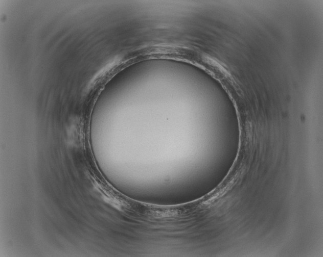 X0000063441403200601271502
