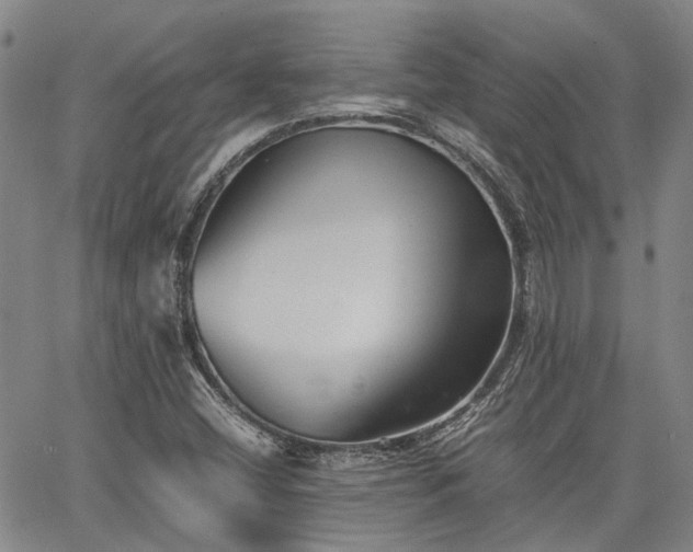 X0000063441404200601271502