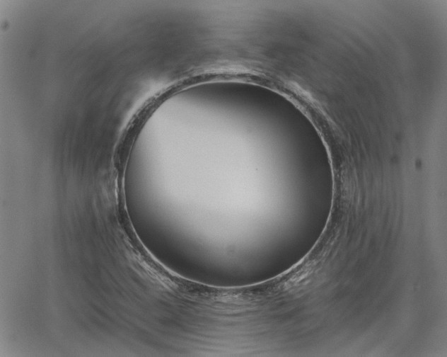 X0000063441408200601271502