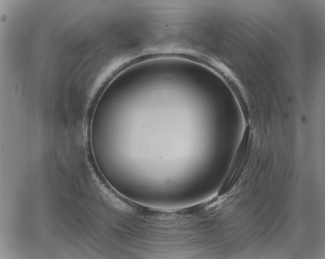 X0000063441416200601271502