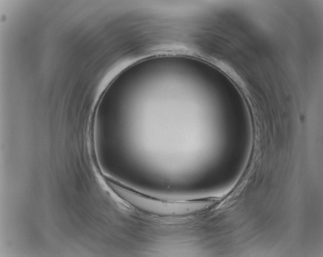 X0000063441440200601271503