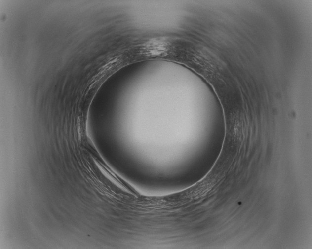 X0000063441442200601271502