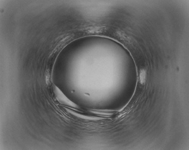 X0000063441444200601271502