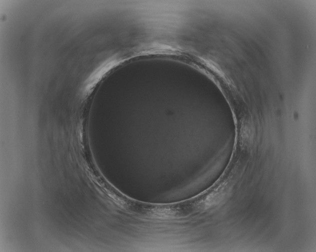 X0000063441455200601271502