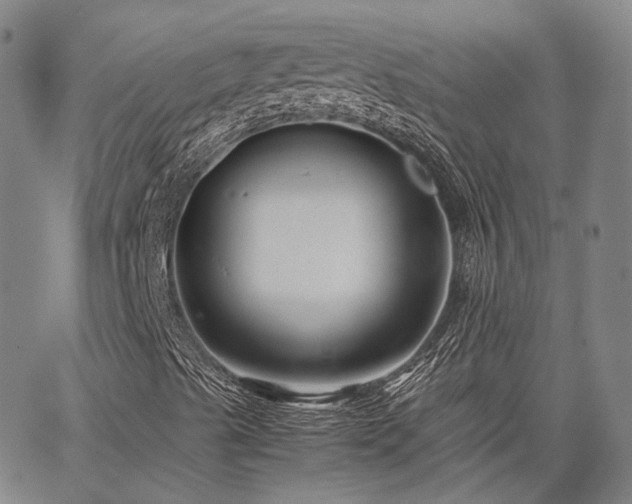 X0000063441489200601271501