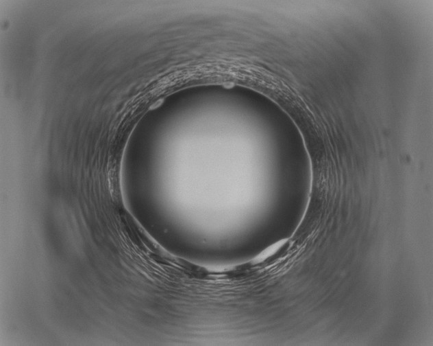 X0000063441490200601271501