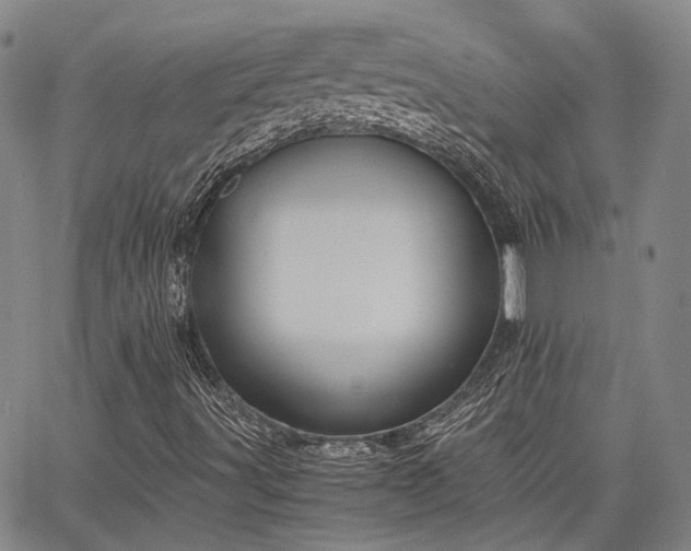 X0000063441491200601271501