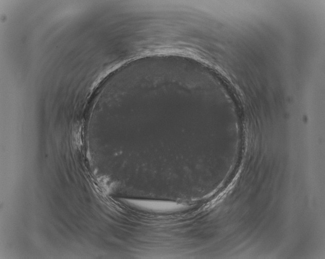 X0000063441497200601271501