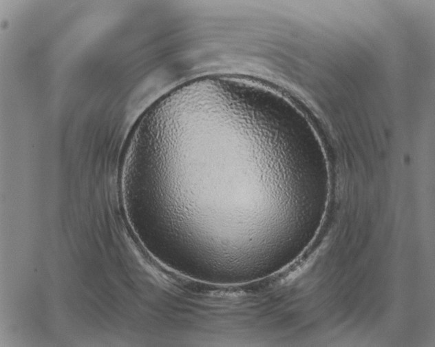 X0000063441513200601271501