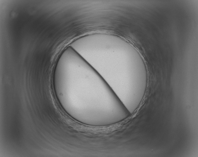 X0000063440001200602031753