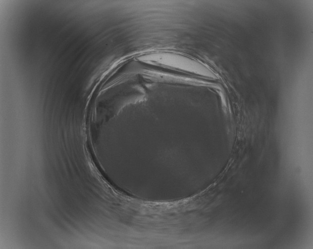 X0000063440002200602031753