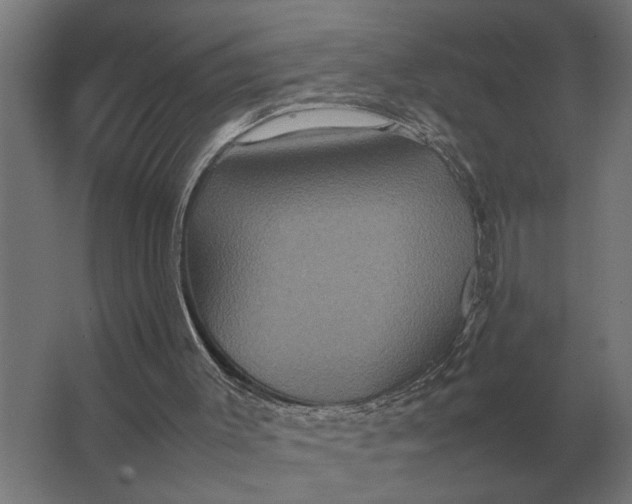 X0000063440003200602031753