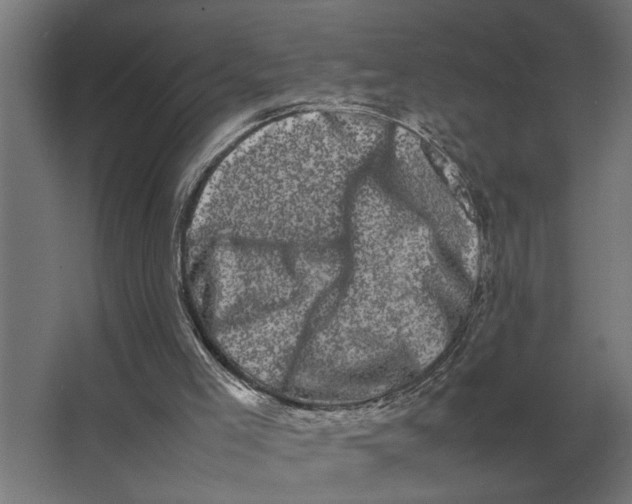 X0000063440005200602031753