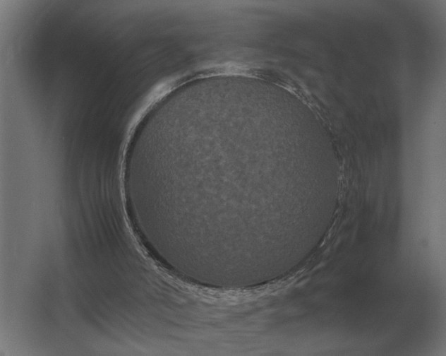 X0000063440006200602031753