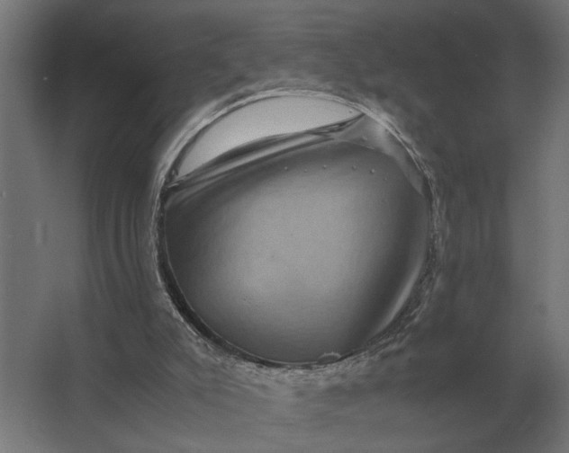 X0000063440007200602031753