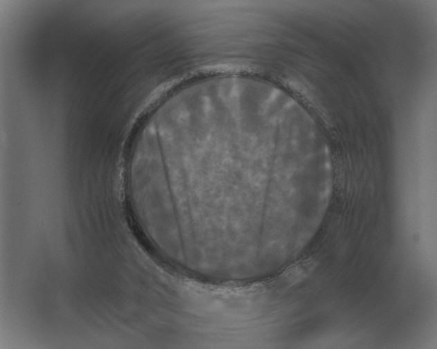 X0000063440016200602031753