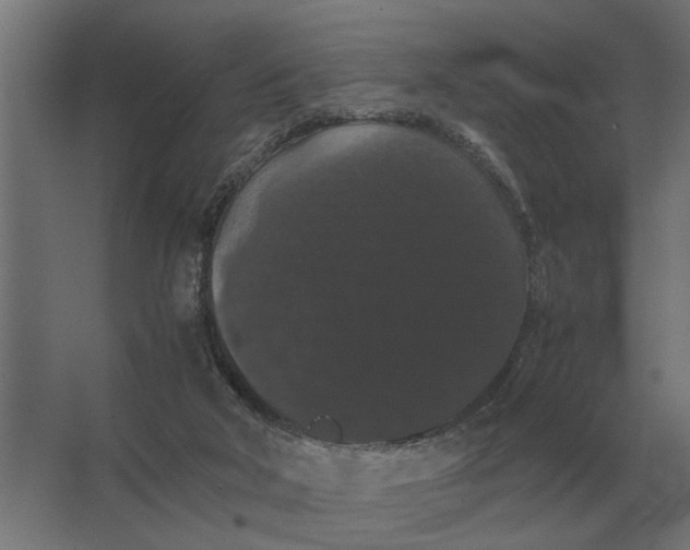 X0000063440018200602031753