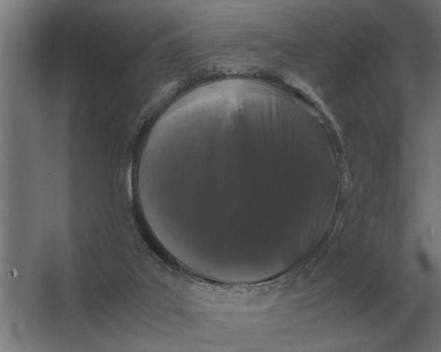 X0000063440019200602031753