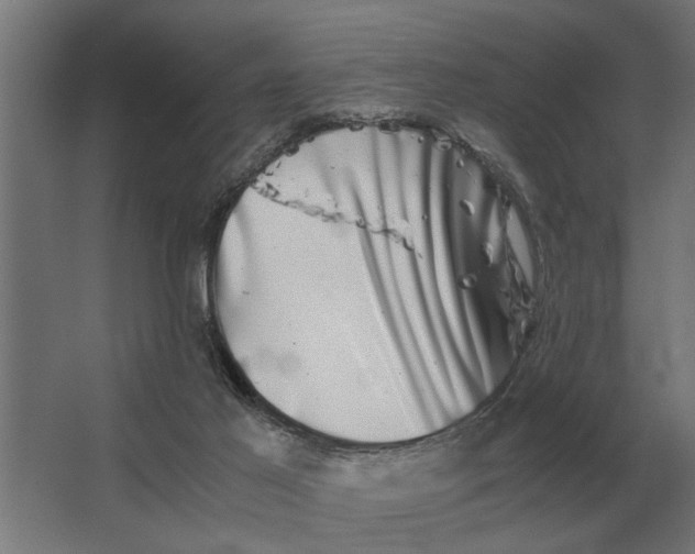 X0000063440021200602031753