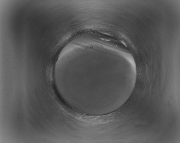 X0000063440023200602031753