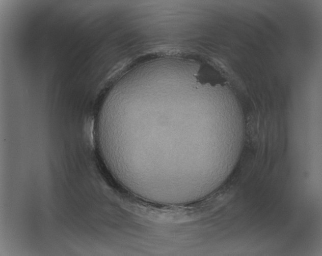 X0000063440024200602031753