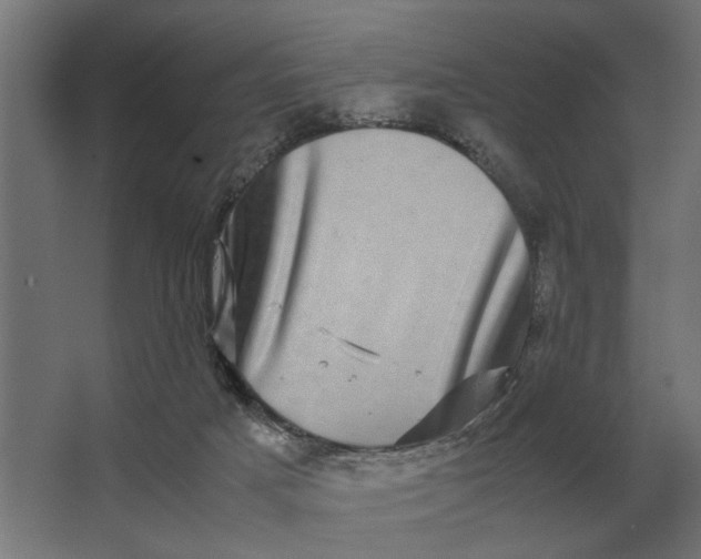 X0000063440025200602031753